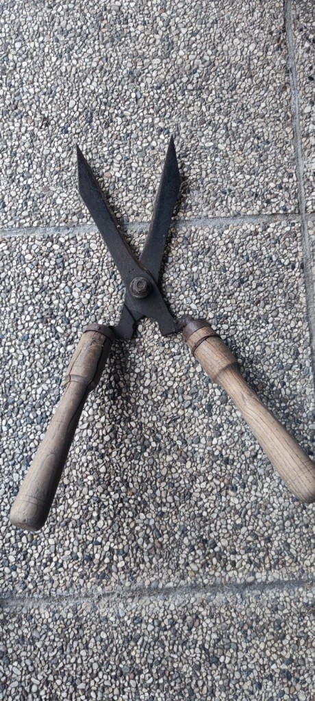Tesoura de Poda de Cerca Viva